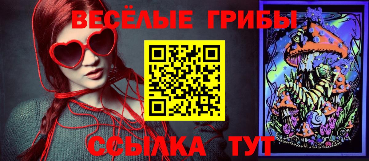 Псилоцибиновые грибы мицелий Коркино